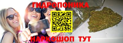 мяу мяу мука Пыть-Ях