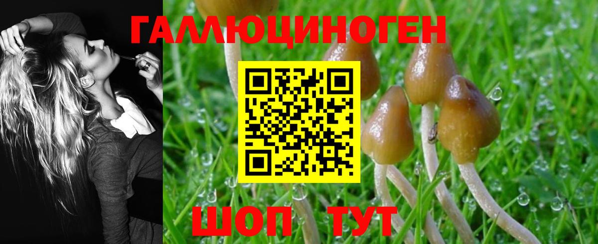 Алатырь  Галлюциногенные грибы мицелий  Псилоцибиновые грибы GOLDEN TEACHER  цены наркотик  Вход с VPN 